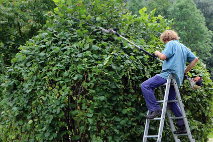 mantenimiento de jardines